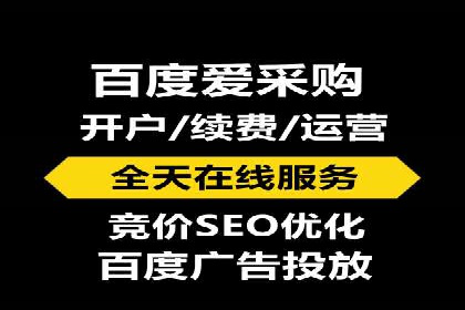 SEO关键词优化：某品牌逆袭的案例解析