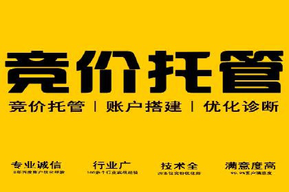 百度推广运营策略解析及成功案例分享